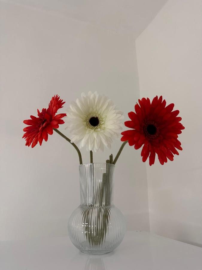 דירות איסרניה La Casa Di Stella מראה חיצוני תמונה